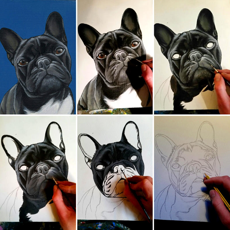 The Dogpainter From Sketch to Painting